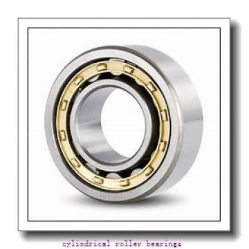 95 mm x 240 mm x 55 mm  ISO NF419 cylindrical roller bearings