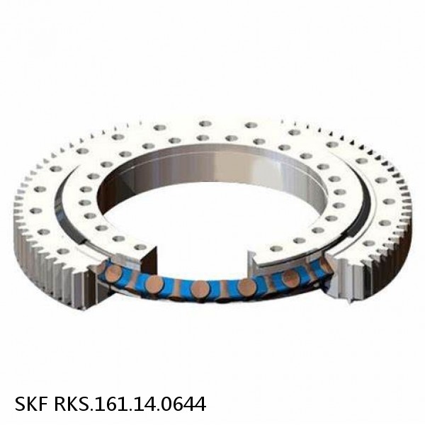 RKS.161.14.0644 SKF Slewing Ring Bearings