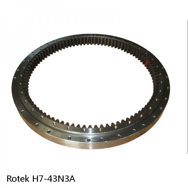 H7-43N3A Rotek Slewing Ring Bearings