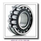 AST 21316CW33 spherical roller bearings