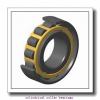 30 mm x 72 mm x 19 mm  ISB NU 306 cylindrical roller bearings