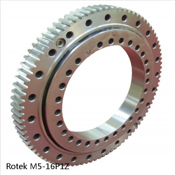 M5-16P1Z Rotek Slewing Ring Bearings #1 small image