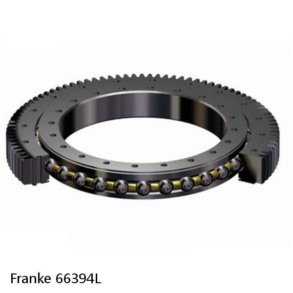 66394L Franke Slewing Ring Bearings #1 small image