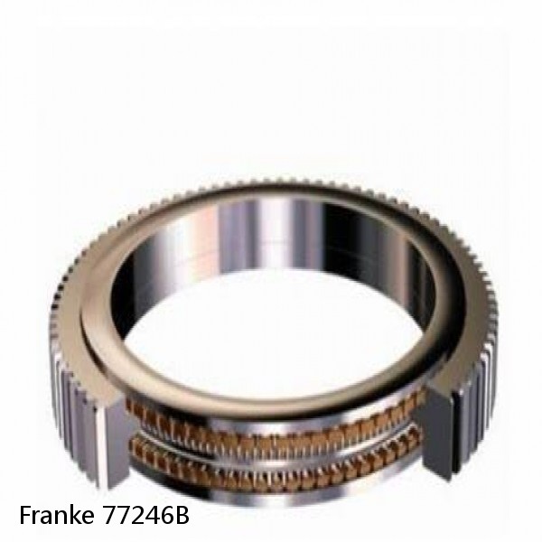 77246B Franke Slewing Ring Bearings #1 small image
