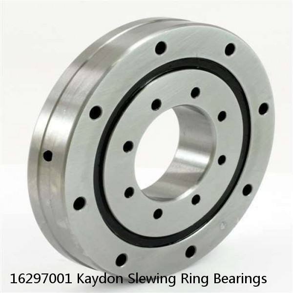 16297001 Kaydon Slewing Ring Bearings #1 small image