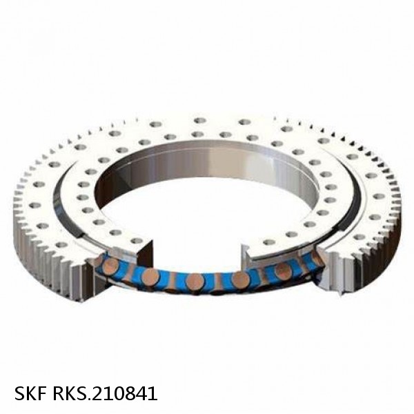 RKS.210841 SKF Slewing Ring Bearings #1 small image