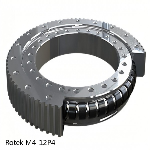 M4-12P4 Rotek Slewing Ring Bearings #1 small image