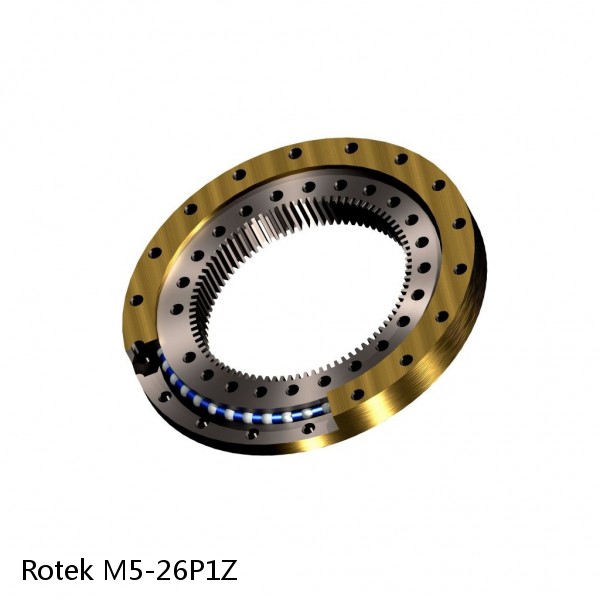 M5-26P1Z Rotek Slewing Ring Bearings #1 small image