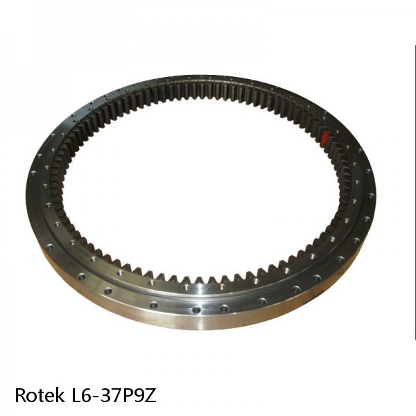 L6-37P9Z Rotek Slewing Ring Bearings #1 small image