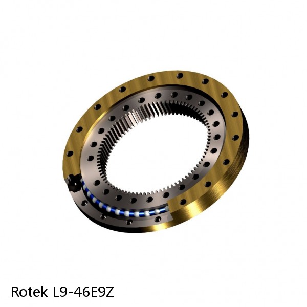 L9-46E9Z Rotek Slewing Ring Bearings #1 small image