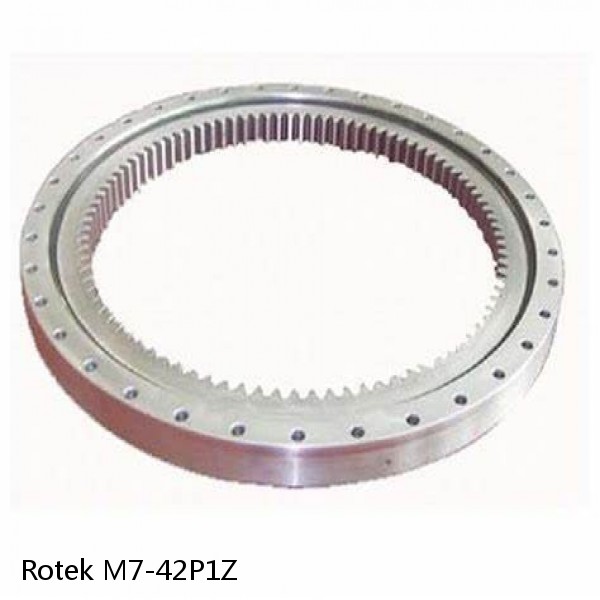 M7-42P1Z Rotek Slewing Ring Bearings #1 small image