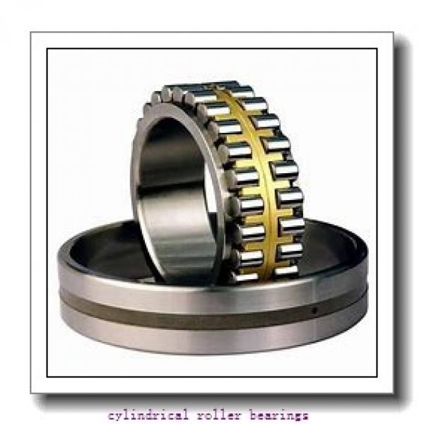 30 mm x 55 mm x 19 mm  NSK NN3006MB cylindrical roller bearings #1 image