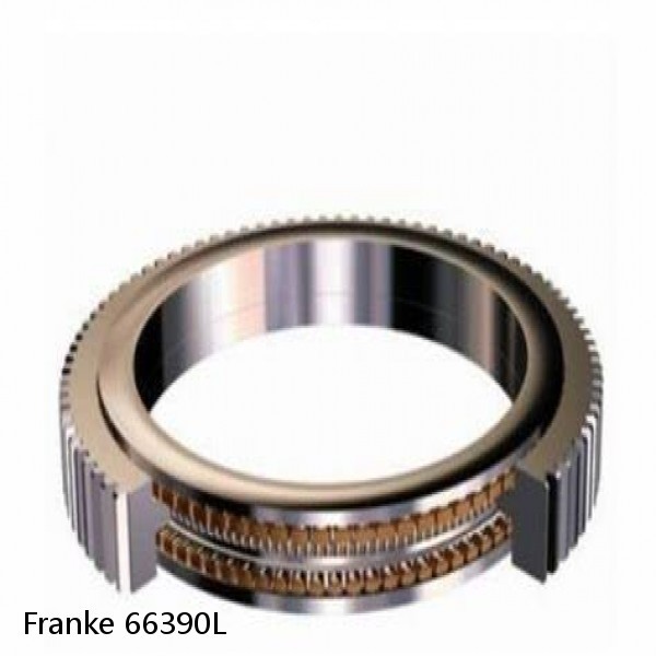 66390L Franke Slewing Ring Bearings #1 image