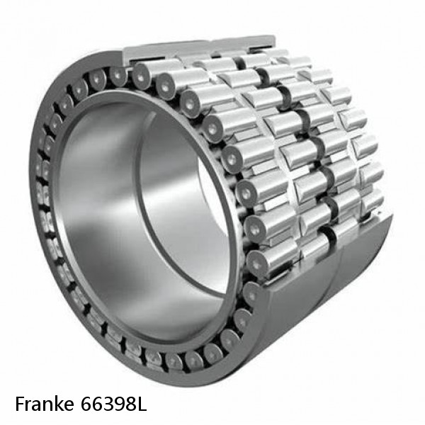 66398L Franke Slewing Ring Bearings #1 image