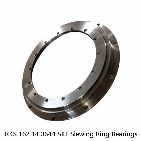 RKS.162.14.0644 SKF Slewing Ring Bearings #1 image