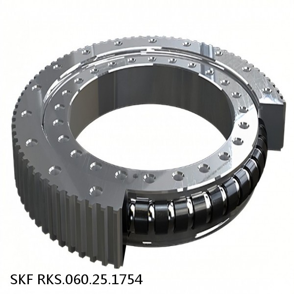 RKS.060.25.1754 SKF Slewing Ring Bearings #1 image