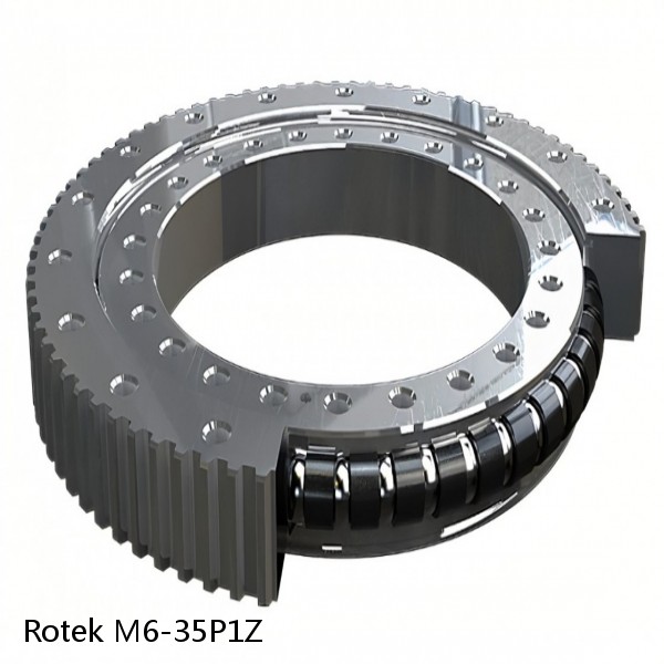 M6-35P1Z Rotek Slewing Ring Bearings #1 image