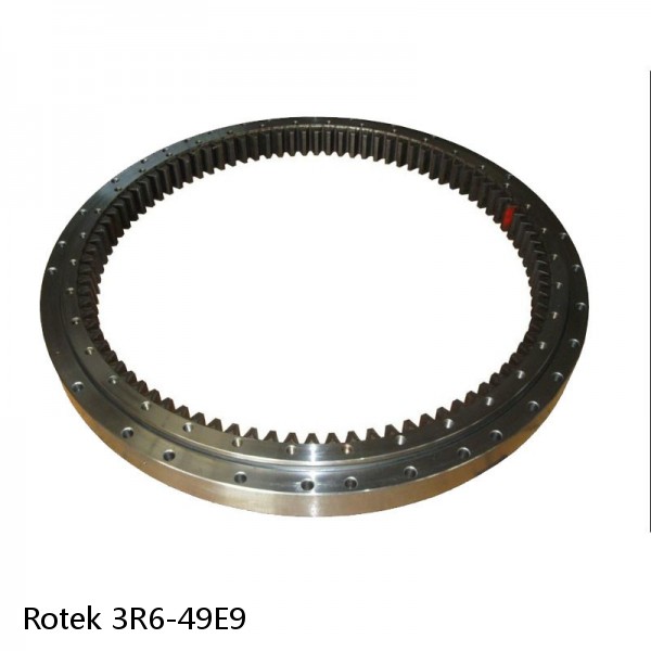 3R6-49E9 Rotek Slewing Ring Bearings #1 image