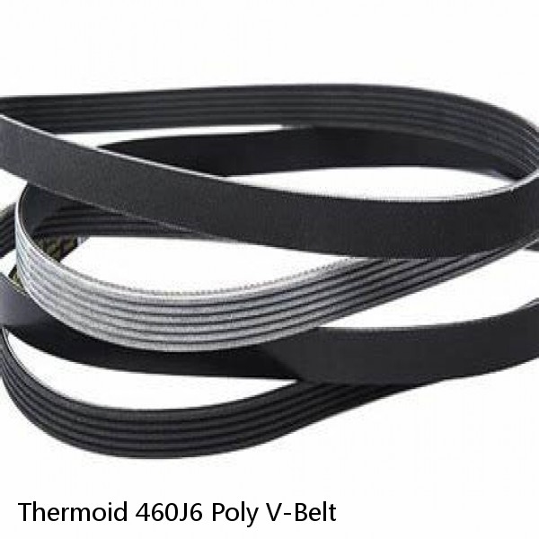 Thermoid 460J6 Poly V-Belt #1 image